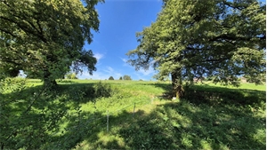 terrain à la vente -   87300  BREUILAUFA, surface 17400 m2 vente terrain - UBI438076031